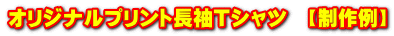 オリジナルプリント長袖Ｔシャツ　【制作例】