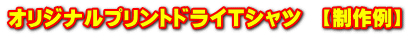 オリジナルプリントドライＴシャツ　【制作例】