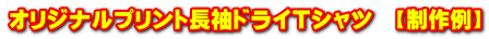 オリジナルプリント長袖ドライＴシャツ　【制作例】