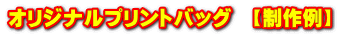 オリジナルプリントバッグ　【制作例】