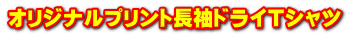オリジナルプリント長袖ドライＴシャツ